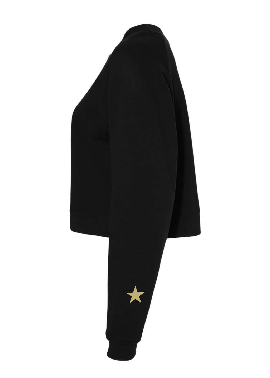 Raglan Pullover Fleece - Detroit