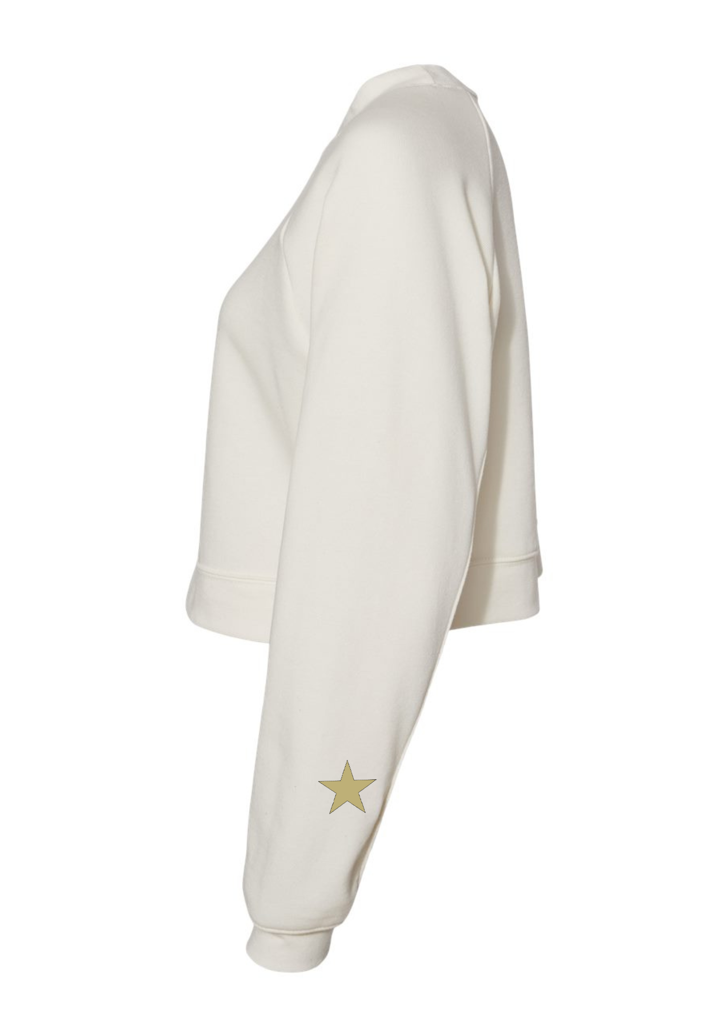 Raglan Pullover Fleece - Detroit